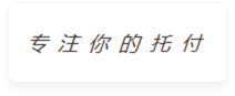 合作伙伴28